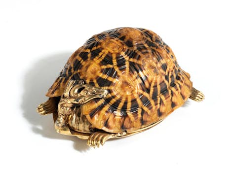 Schnupftabakdose in Form einer Schildkröte